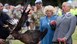 After a disastrous outing, Camilla and Charles are urged to “be on alert”