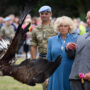 After a disastrous outing, Camilla and Charles are urged to “be on alert”