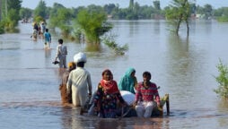 Punjab flood update: Rains claimed 151 lives