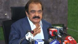 Shahbaz Gill arrested for inciting people against institutions, state: Rana Sanaullah