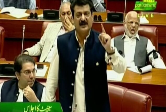 PTI Senators protest against Shahbaz Gill’s health condition