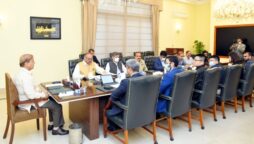 UAE shows interest in investment in Pakistan’s plasma fractionation facility, digitisation