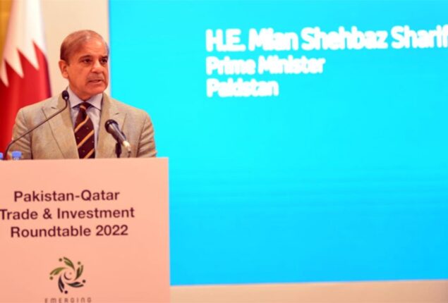 Pakistan offers attractive business opportunities to foreign investors: Shehbaz Sharif