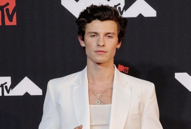 Shawn Mendes teases a comeback to music
