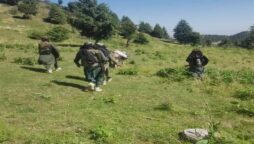 Pakistan Army dismisses presence of TTP militants in Swat
