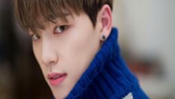 Seventeen Dino