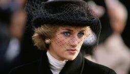 There is “much more to Princess Diana’s death case”