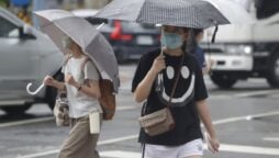Typhoon Hinamnor: China and Japan ground flights and ferries
