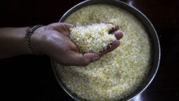 Indian ban on rice export can increase inflation