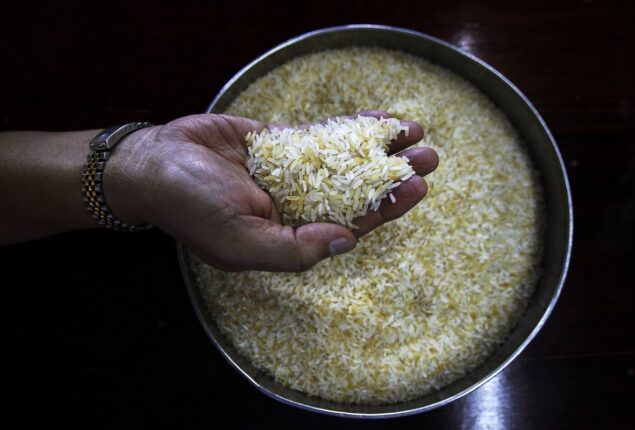 Indian ban on rice export can increase inflation
