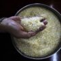 Indian ban on rice export can increase inflation