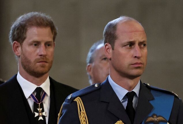 Prince Harry abandoned William on flight by ‘mistake’, not ‘anger’