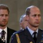 Prince Harry abandoned William on flight by ‘mistake’, not ‘anger’