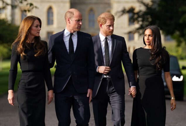 Prince William, Harry reunites at Queen Elizabeth II funeral