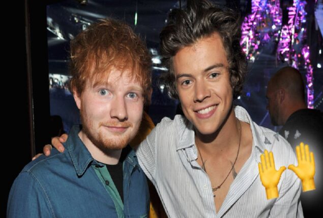 Ed Sheeran and Harry Styles raises money in Ukraine for WHO