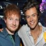 Ed Sheeran and Harry Styles raises money in Ukraine for WHO