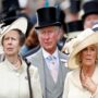 Princess Anne was not in favour of Camilla being Queen Consort