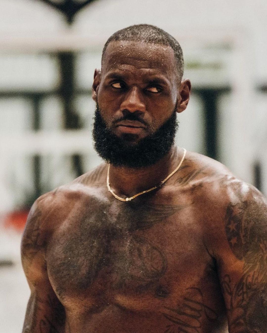 what does lebron james look like now