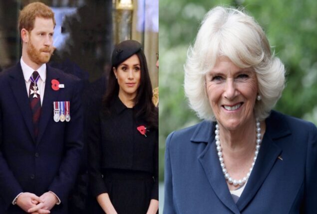 The open hatred of Meghan Markle and Prince Harry for Camilla
