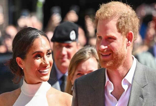 Meghan and Harry receives ‘too much’ attention in Germany