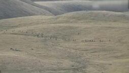New fighting between Armenia and Azerbaijan is reported