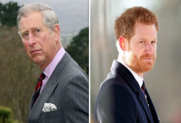 Prince Harry tensions have Prince Charles’ advisors worried