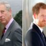 Prince Harry tensions have Prince Charles’ advisors worried