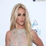 Britney Spears hopes to settle her legal fight with her father