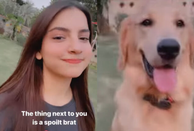 Dananeer says, “The thing next to you is a spoilt brat”