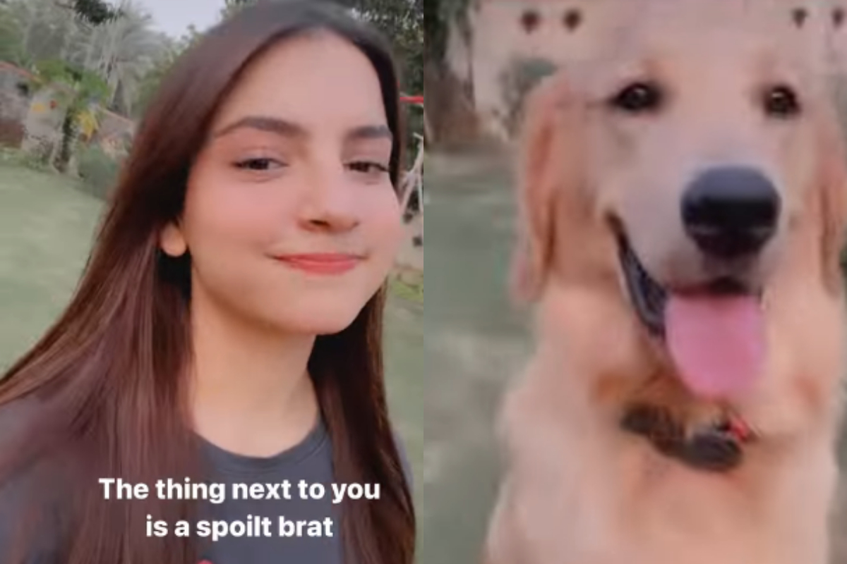 Dananeer