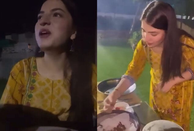 Dananeer enjoying in barbeque mood; watch video