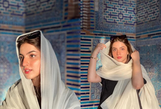 Dananeer looks beautiful in a Hijab; See photos