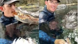 Alligator gives a leaf to man & gets selfie with him