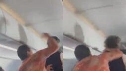 American Airlines passenger arrested for punching flight attendant