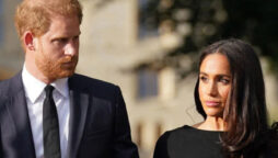 Meghan Markle is changing Prince Harry into a “debauched wild man”