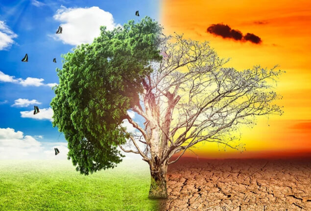 Boost climate action or we’ll see you court, activists warn governments