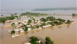 Flood causes economical damage to Pakistan in current fiscal year