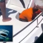 Pennsylvania woman snorkelling in the Bahamas killed by a shark
