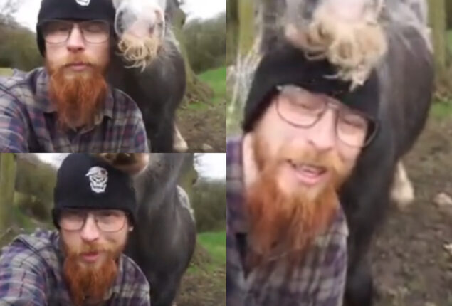 Watch: Video of man cuddling his horse has gone viral