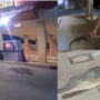 Watch: Police officer captured angry alligator with his body camera