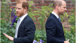 Prince Harry and Prince William in state of “anger and sadness” 