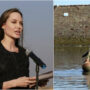 Angelina Jolie says Pakistan floods a wakeup call for world