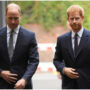 Prince William and Prince Harry ‘did not eat’ together after Queen’s death