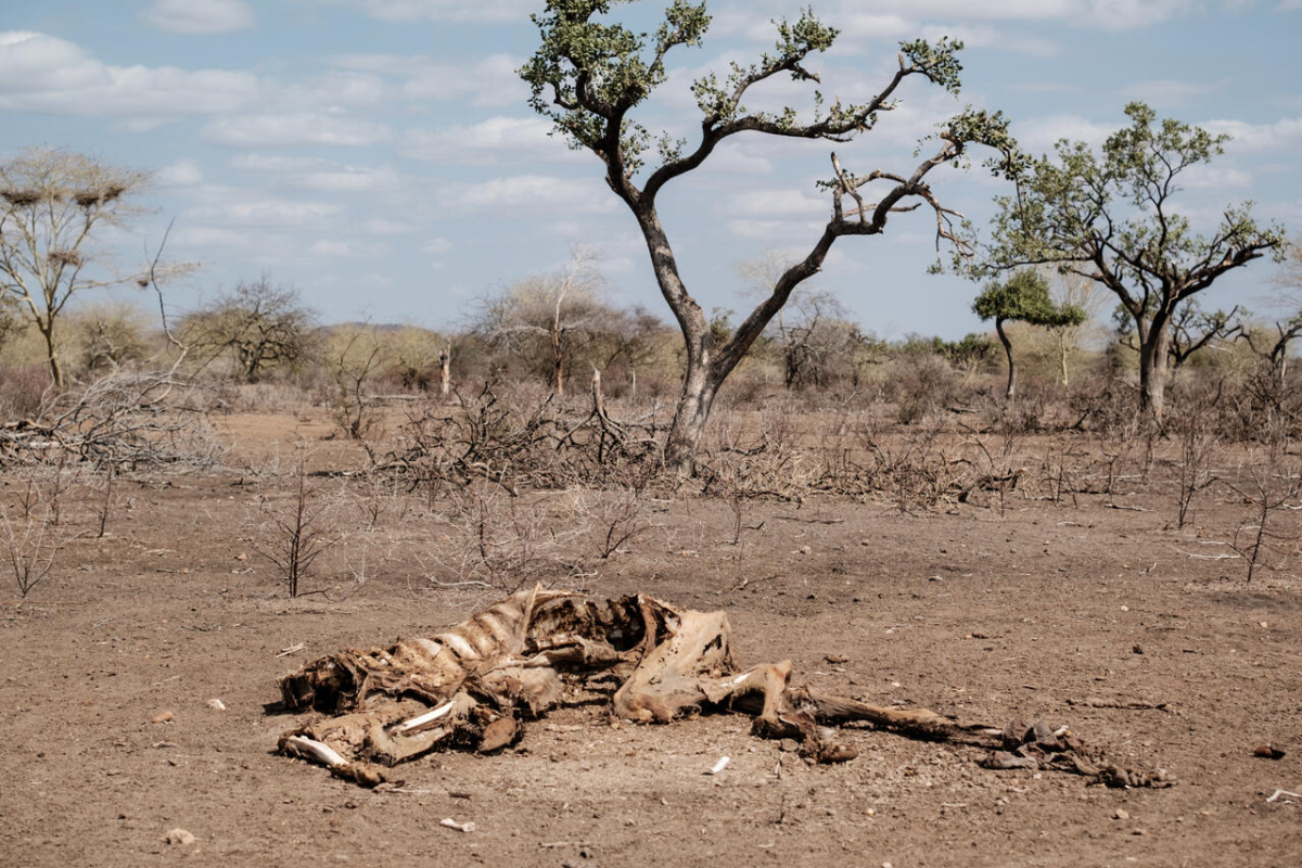 World in ‘wrong direction’ on climate change