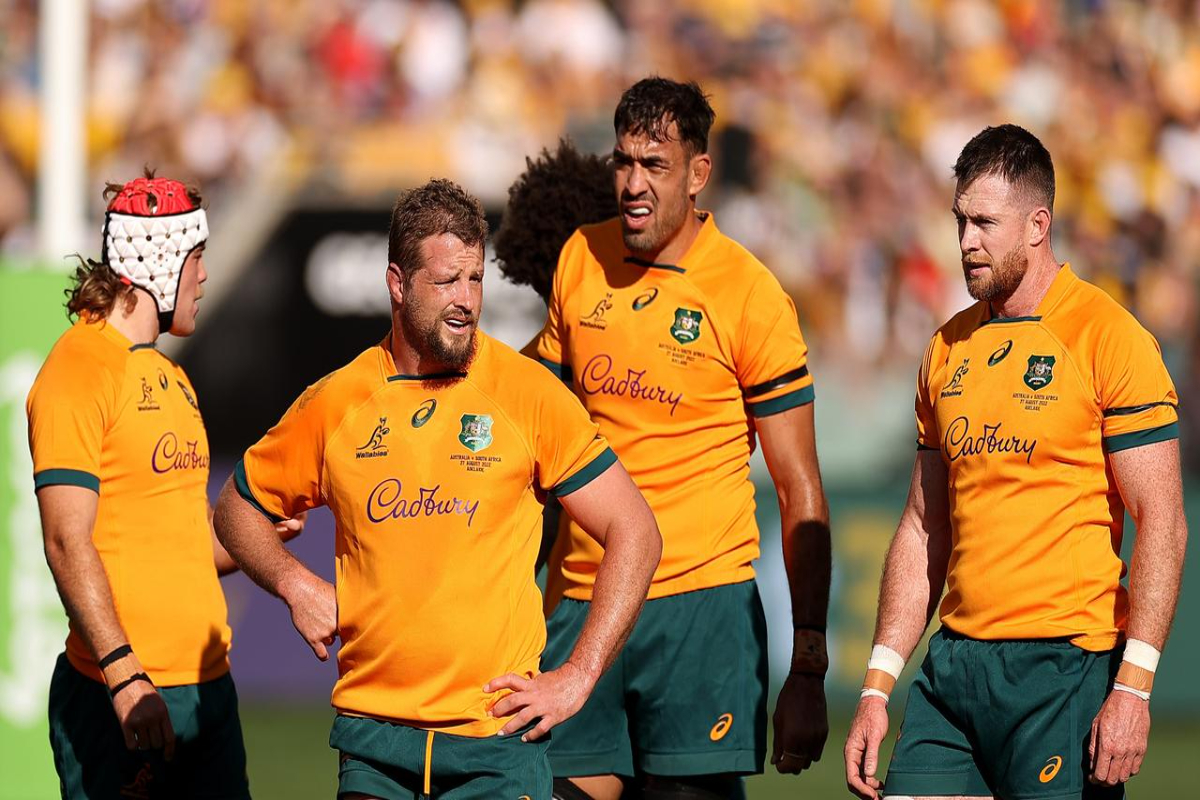 Wallabies