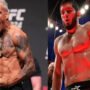Alireza Noei: Makhachev not capable to handle Brazilian fighter