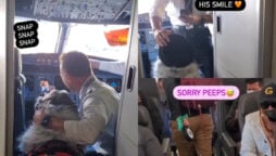 Watch viral: People are taking photos of the dog in flight 