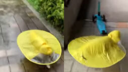 Yellow Raincoat