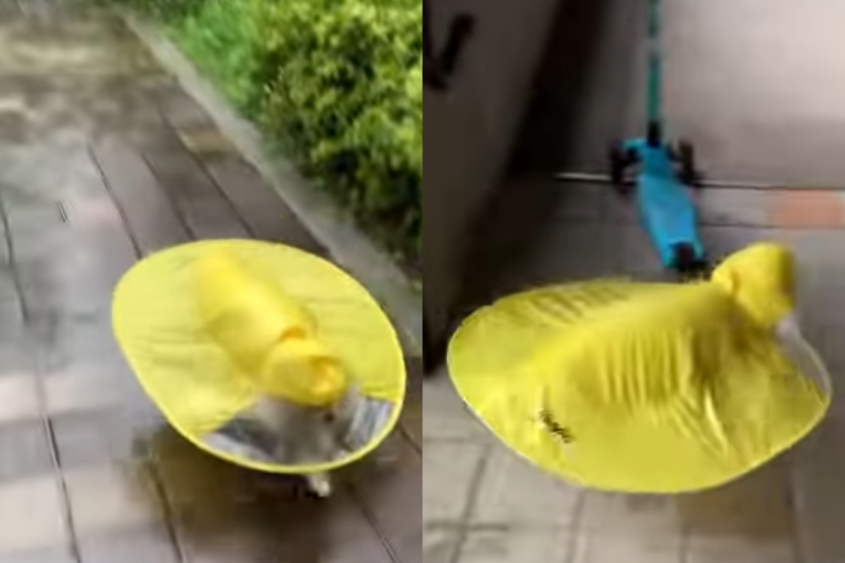 Yellow Raincoat