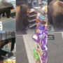 Watch viral: Bear steals candy from California convenience store